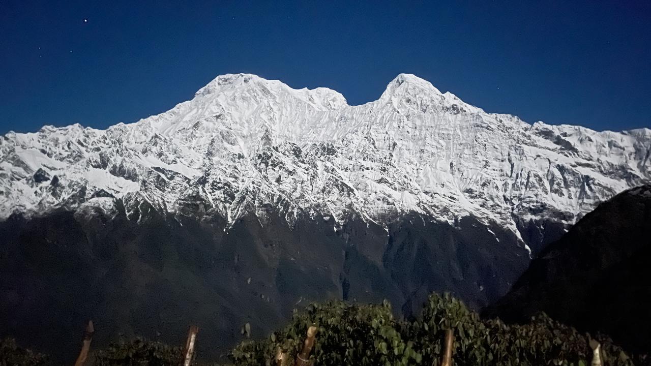 Mardi Himal Trek - A 4-Day Journey Unveiled