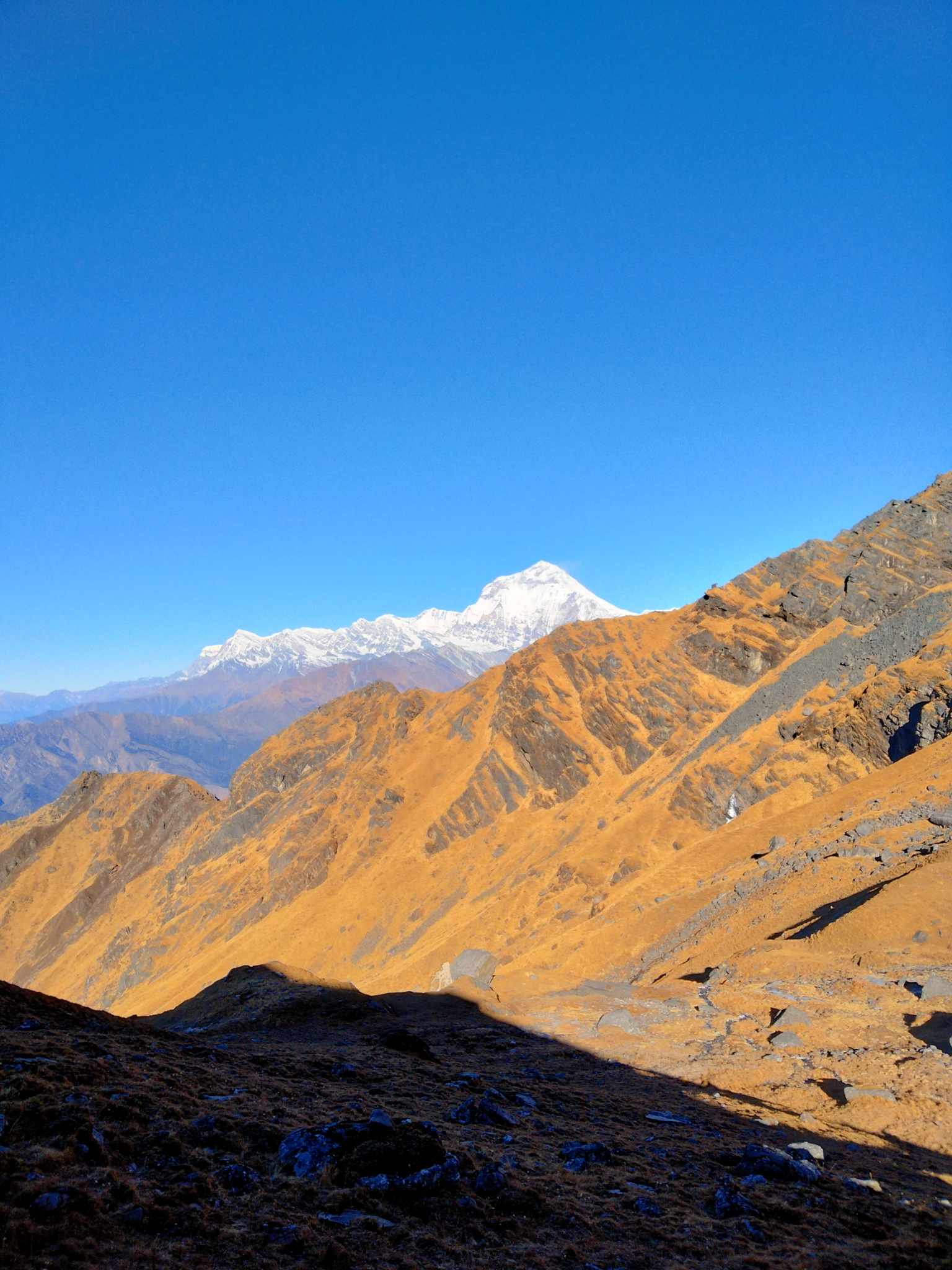 Mohare Danda Khopra Ridge Trek