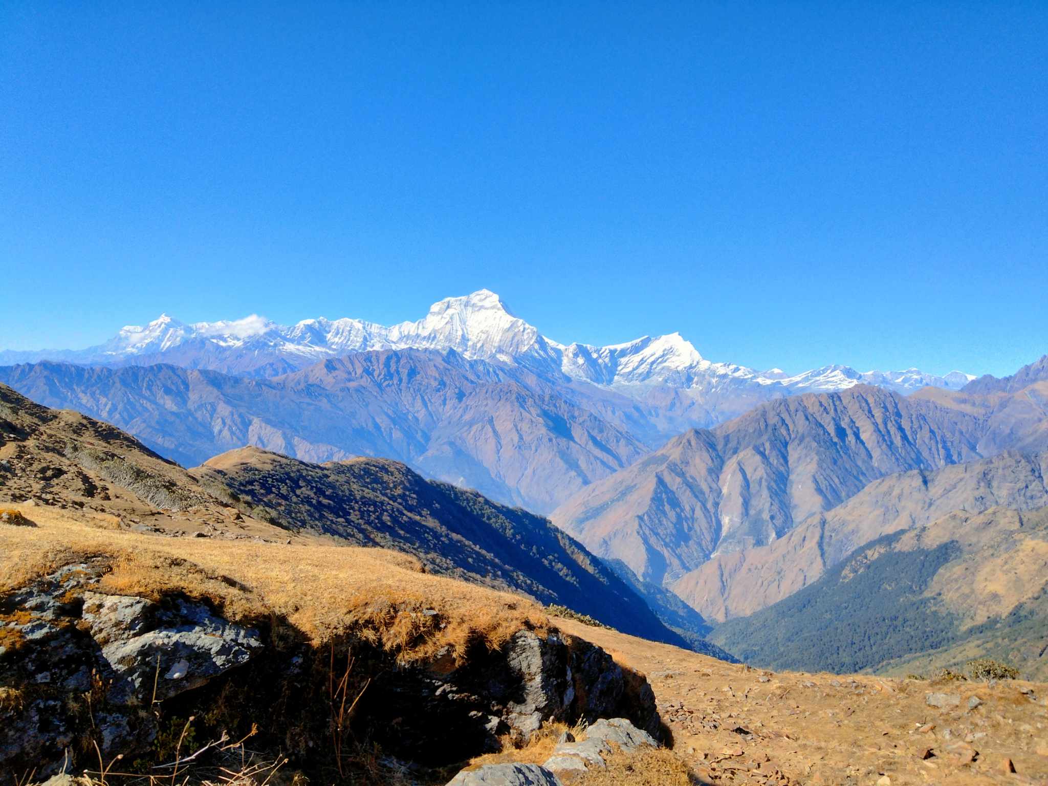 Mohare Danda Khopra Ridge Trek